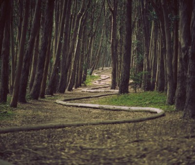 path